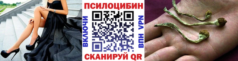 Псилоцибиновые грибы мухоморы  сайты даркнета телеграм  Апатиты 
