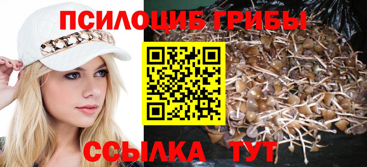 Псилоцибиновые грибы MAGIC MUSHROOMS  Вход с VPN  Апатиты 